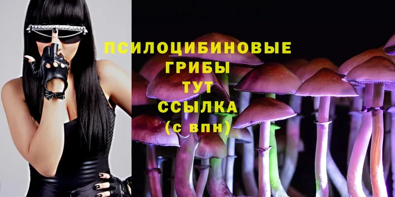 ссылка на мегу ссылки  Константиновск  Галлюциногенные грибы Psilocybe 